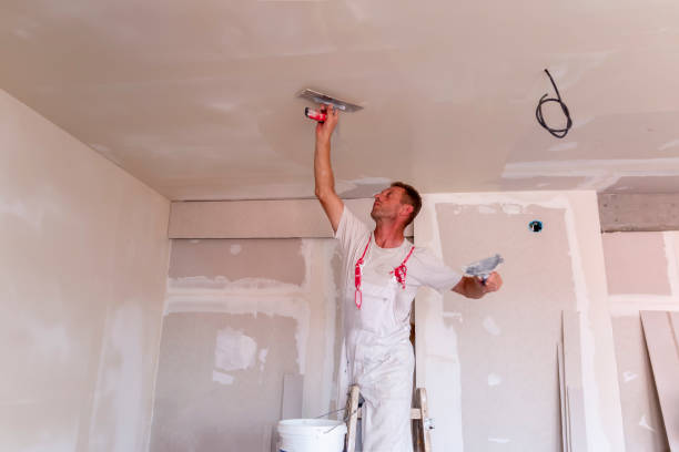 Best Drywall Crack Repair  in Britt, IA