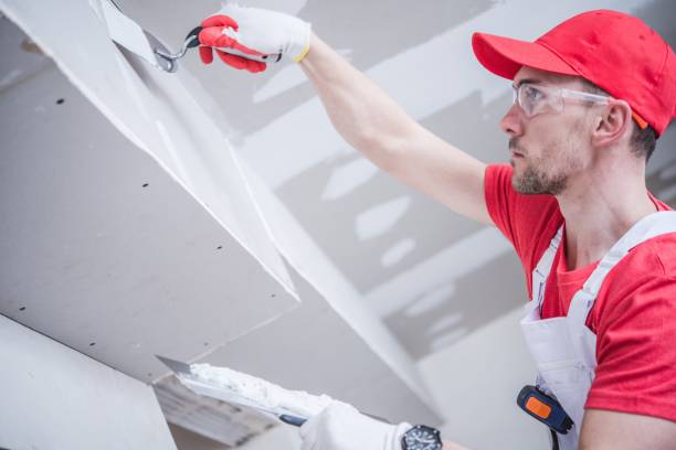 Best Drywall Sanding and Smoothing  in Britt, IA